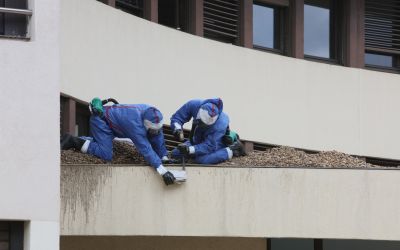 Crédit photo : Alexandre PAPAÏS - Démolition Siège Mars 2018